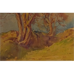  Woodland Landscape, watercolour signed by Fred Lawson (British 1888-1968) 17.5c,m x 26.5cm  