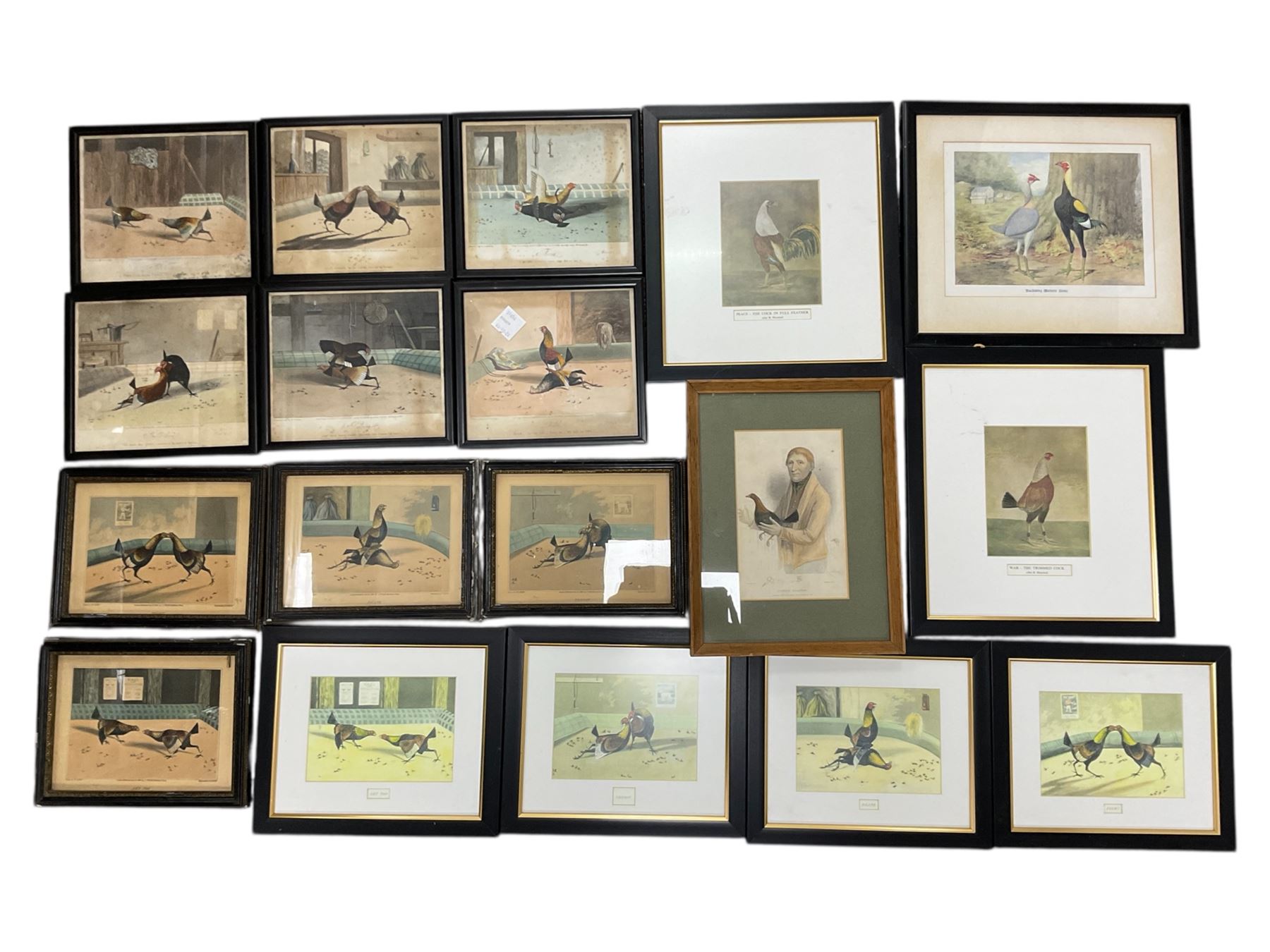 After Newton Fielding (British 1799-1856): Set of six 19th century cock fighting prints pub. Rudolph Ackermann, together with various later cock fighting prints