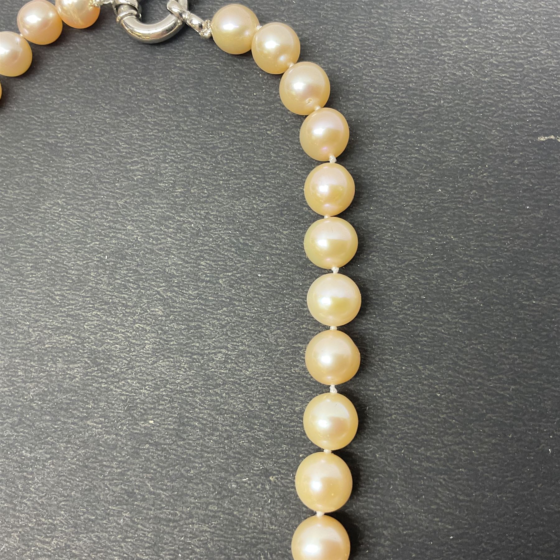 Pink fresh water pearl necklace, with silver clasp