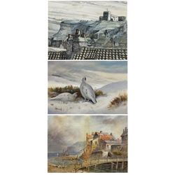 Richard Pottas (Northern British Contemporary): 'Dawn over St. Marys' and Whitby Roof Tops, pen ink and watercolour signed and dated '79, titled verso 27cm x 37cm; Edward Nevil (British fl.1880-1900): 'Staithes Yorks', watercolour signed and titled, together with a further watercolour of White-tailed Ptarmigan (3) (unframed)