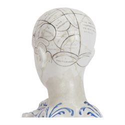 19th century Staffordshire pottery Phrenology head inkwell, circa 1860, the head mapped out, upon a scrolling base with pen/ink recesses and rectangular plinth impressed 'By F. Bridges Phrenologist', H14cm
