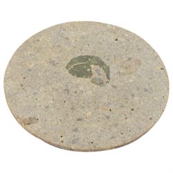 Pair of polished ammonite plate, formed of individual ammonites age; Jurassic period, D17cm