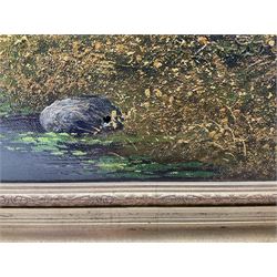 H Sanders (Continental 20th century): Castle in Highland River Landscape, oil on canvas signed 60cm x 91cm