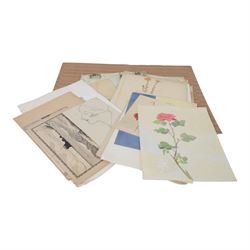 Album of watercolour paintings, including botanical, figural and still life examples