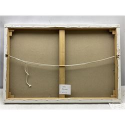 Sue Nichol (Northern British Contemporary): Roof Tops Henrietta Street Whitby, oil on canvas signed and dated '13, 60cm x 90cm (unframed)