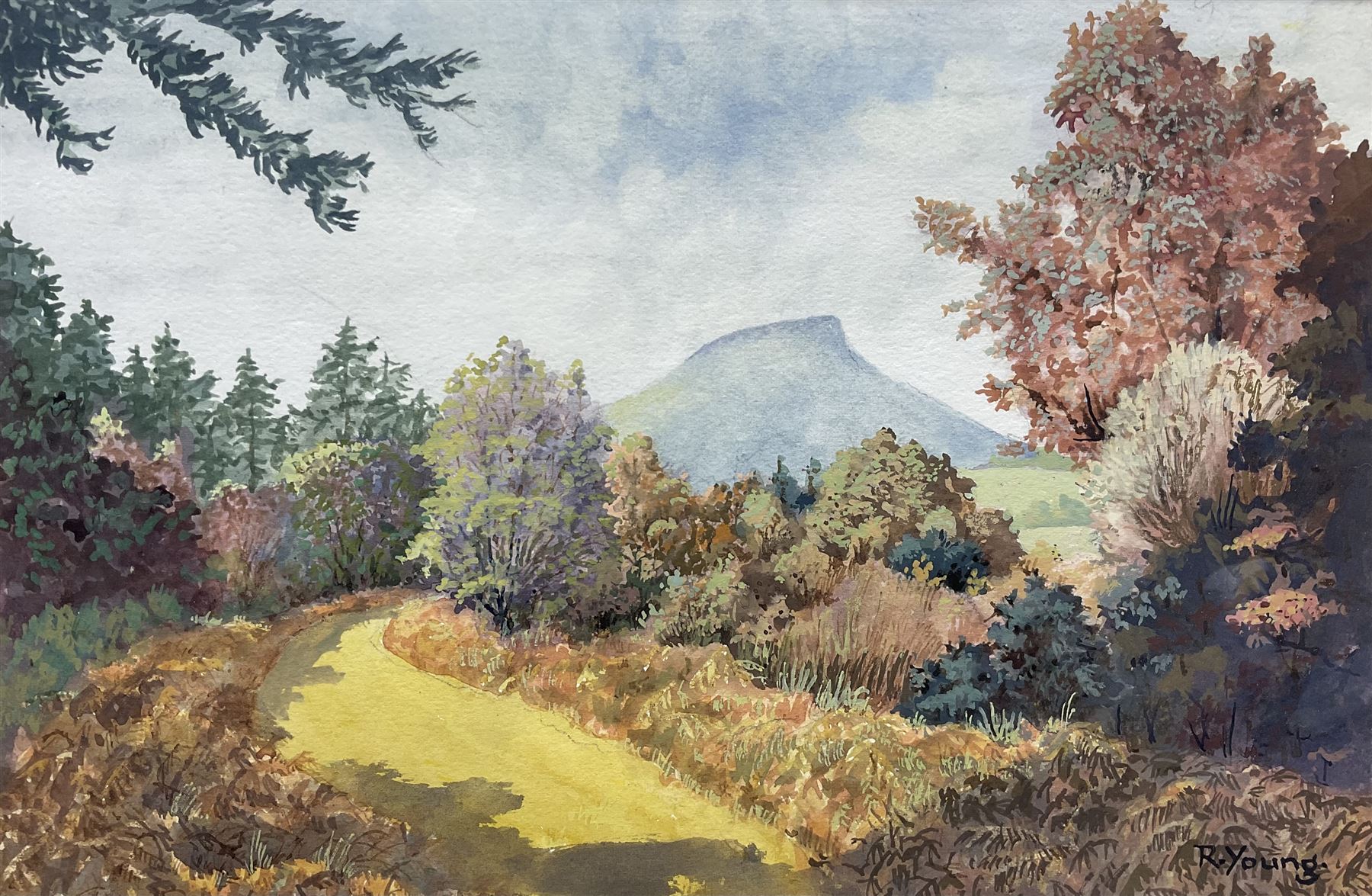 R Young (British 20th century): Roseberry Topping, watercolour signed 24cm x 36cm