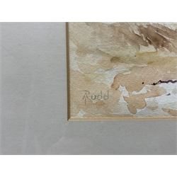 Agnes J Rudd (British fl.1880-1938): Marshland Landscape, watercolour signed 17cm x 25cm