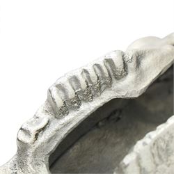 Contemporary cast metal bull skull wall ornament, polished silver finish with textured detailing and outstretched curved horns  