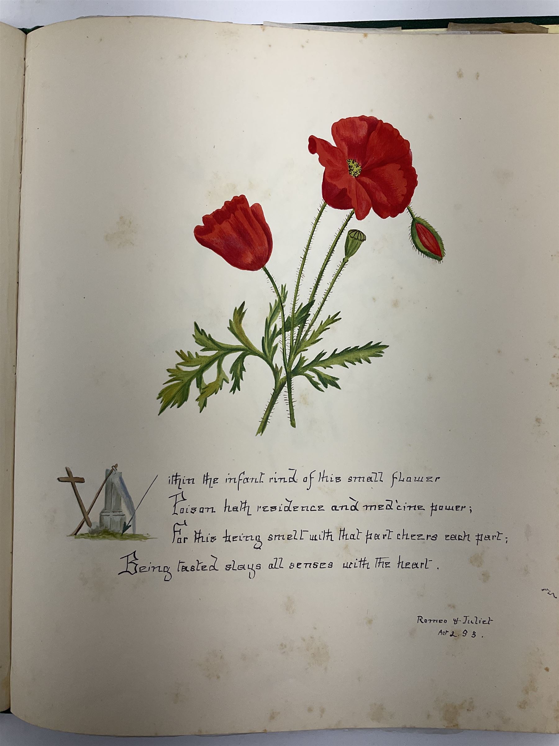 Collection  of 'the Flowers of Sheakspeare' bound in a book, approximately twenty nine studies in watercolour, each work detailing the act the flower is mentioned, together with the tapestry book by Candee. 