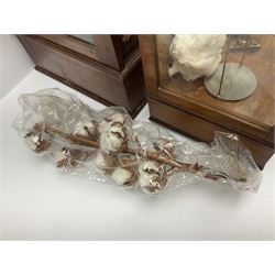 Collection of textile equipment, comprising, Goodbrand & Co. mahogany and brass yarn tester, Negretti & Zambra barograph and two sets of precision scales