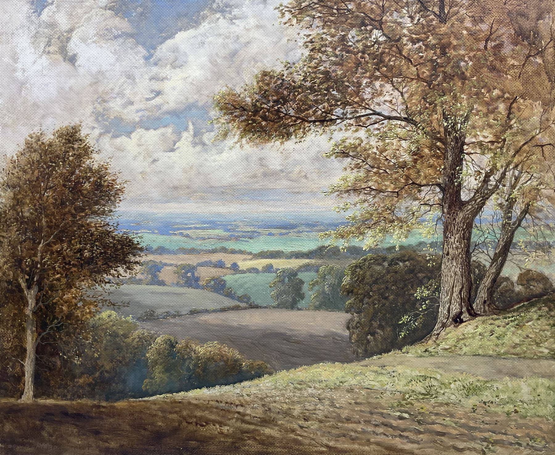 David Mead (British 1906-1986): Maidstone Landscape, oil on board signed 49cm x 59cm 