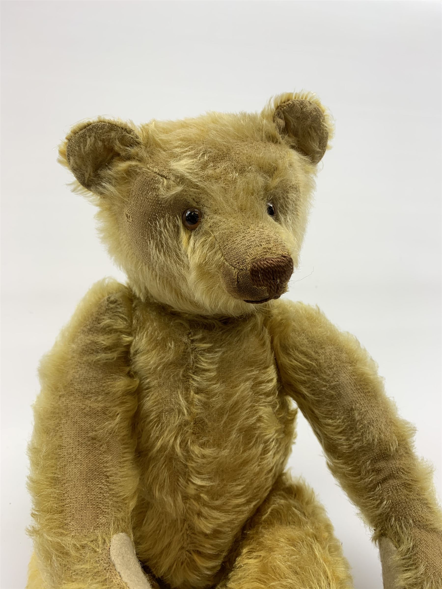Early 20th century German teddy bear c1920, probably Steiff or Bing, with wood wool filled humped back golden mohair body, swivel jointed head with glass eyes and brown vertically stitched nose and mouth, jointed limbs with elongated arms and felt paw pads with black stitched claws H18