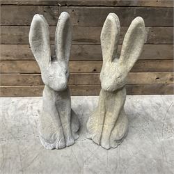 Pair cast stone garden sitting Woody Hares