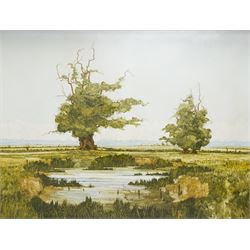 John Ridgewell ARCA (British 1937-2004): Pollarded Trees and Pond, oil on canvas signed an...