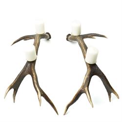 Antlers/Horns -  pair of stags antler candelabra, the six point antlers mounted with two s...