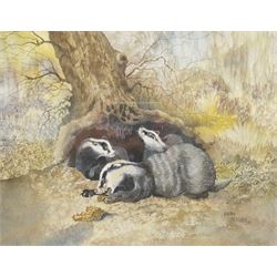 Brian Needham (British ?-2004): Badgers and Rural Footbridge, two watercolours signed and dated '88 and '84, respectively, max 29cm x 37cm (2)