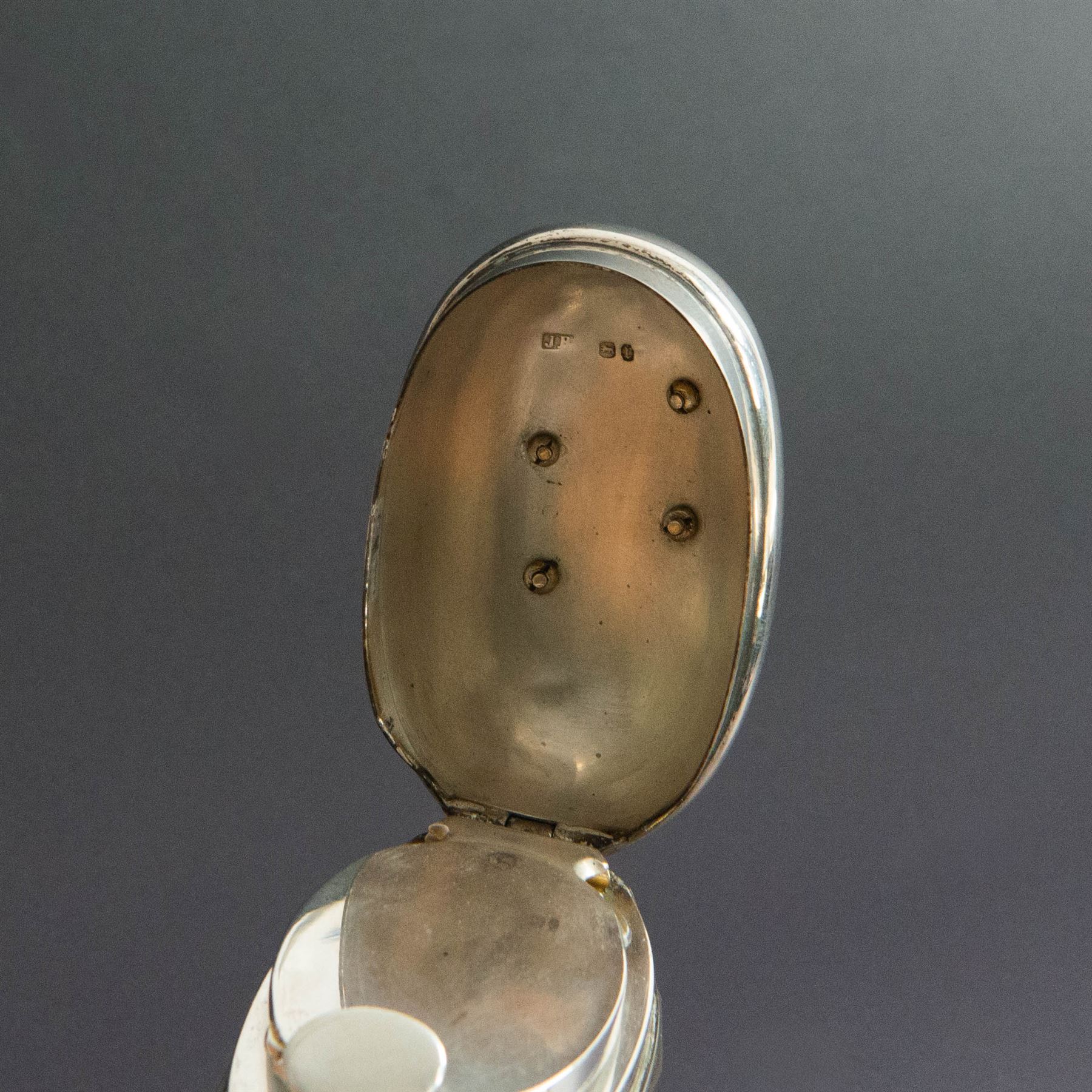 Edwardian tortoiseshell page turner with silver handle, hallmarked Birmingham 1906, maker's mark worn and indistinct, together with a pair of Edwardian silver mounted horsehair brushes engraved with monogram, and two faceted glass jars with silver lids and applied initial N to covers, all hallmarked 