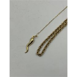 Gold rope twist chain necklace and a gold Italian horn pendant necklace, both 9ct