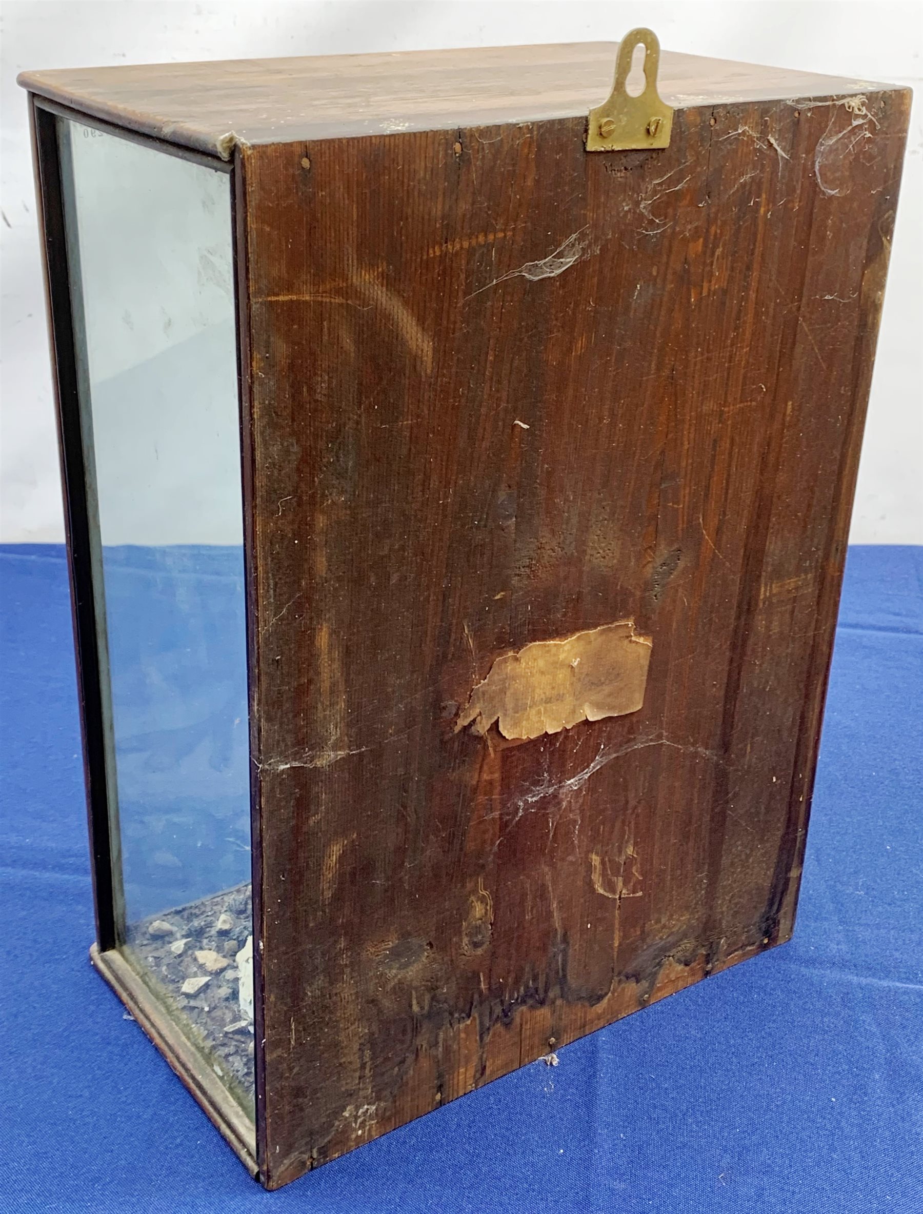 Taxidermy: Victorian cased Slavonian Grebe (Podiceps aritus), in naturalistic setting with snow covered ground work and grasses, set against a painted waterscape backdrop, encased within a pitch pine three pane display case, with paper label verso inscribed Slavonian Grebe, H35cm L25cm D15.5cm 