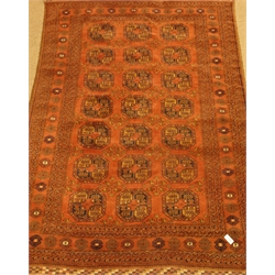  Persian Bokhara pale red ground rug carpet, with blue Guls and stylised flower heard border, 295cm x 206cm  