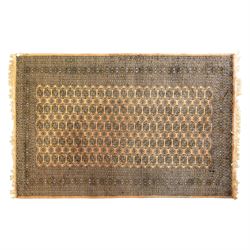 Bokhara rug, rose ground, with multiple rows of ivory and indigo guls enclosed by narrow g...