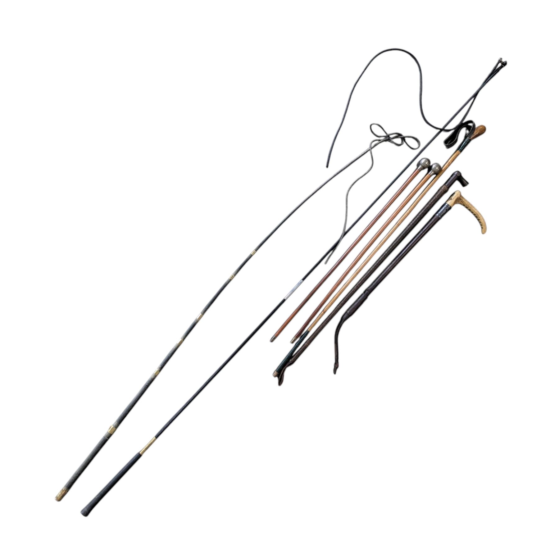 20th Century hunting whip with horn handle, together with another hunting whip, two swagger sticks for Oakham School and Dean Close School, and a walking stick