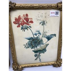 Pair of gilt framed and glazed pencil and watercolour studies of flowers, overall H29cm L24cm