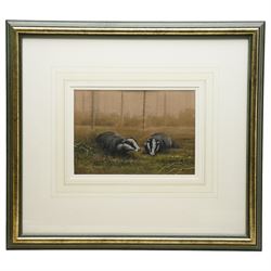 John Naylor (British 1960-): Two Badgers, pastel signed, authenticity label verso 20cm x 29cm