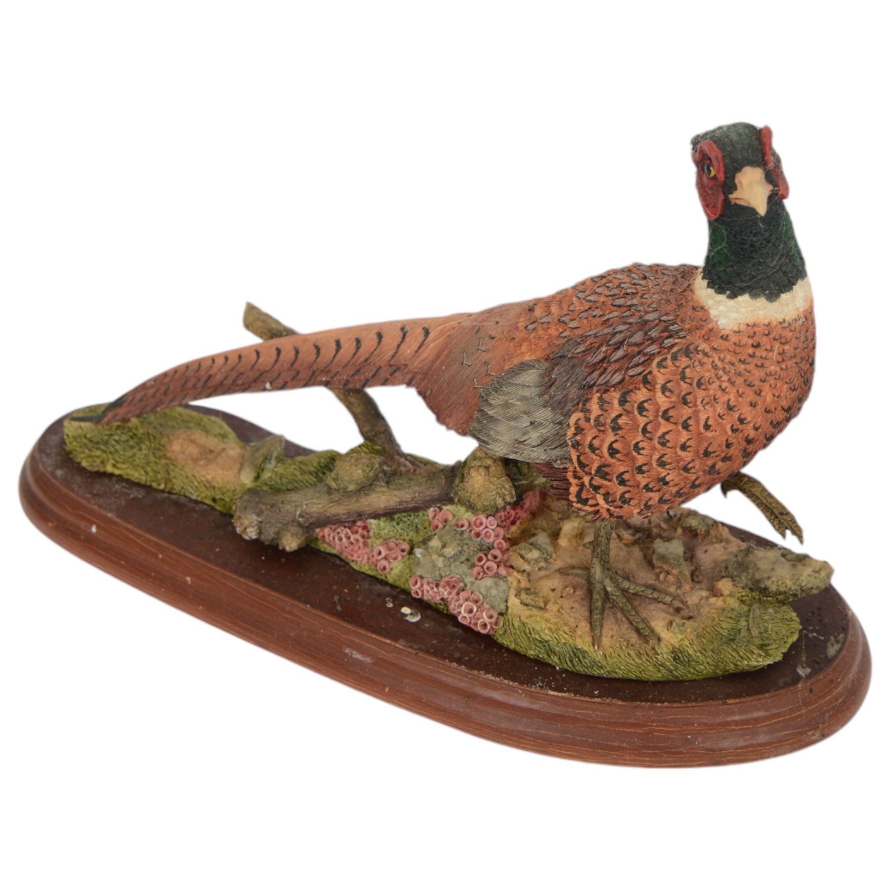 Collection of Border Fine Arts bird figures, including Pheasant No A1475, Golden Eagle No A0658, Swallow No A3457 etc