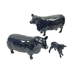 Beswick Aberdeen Angus family group, comprising bull 1562, cow 1563 and calf 1827A