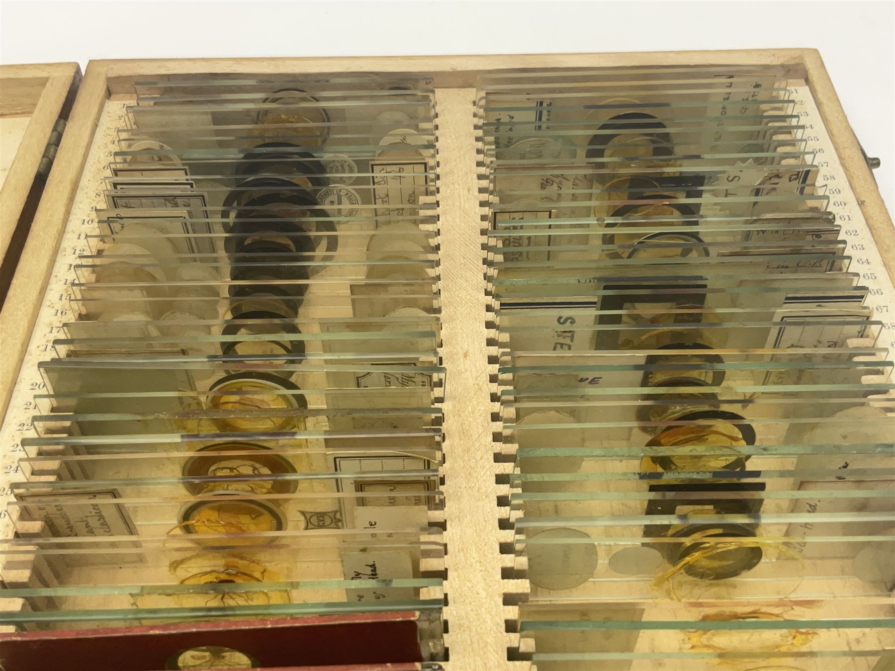 R & J Beck London microscope, model 7597, contained in fitted case, together with a boxed collection of glass microscope biological sample slides