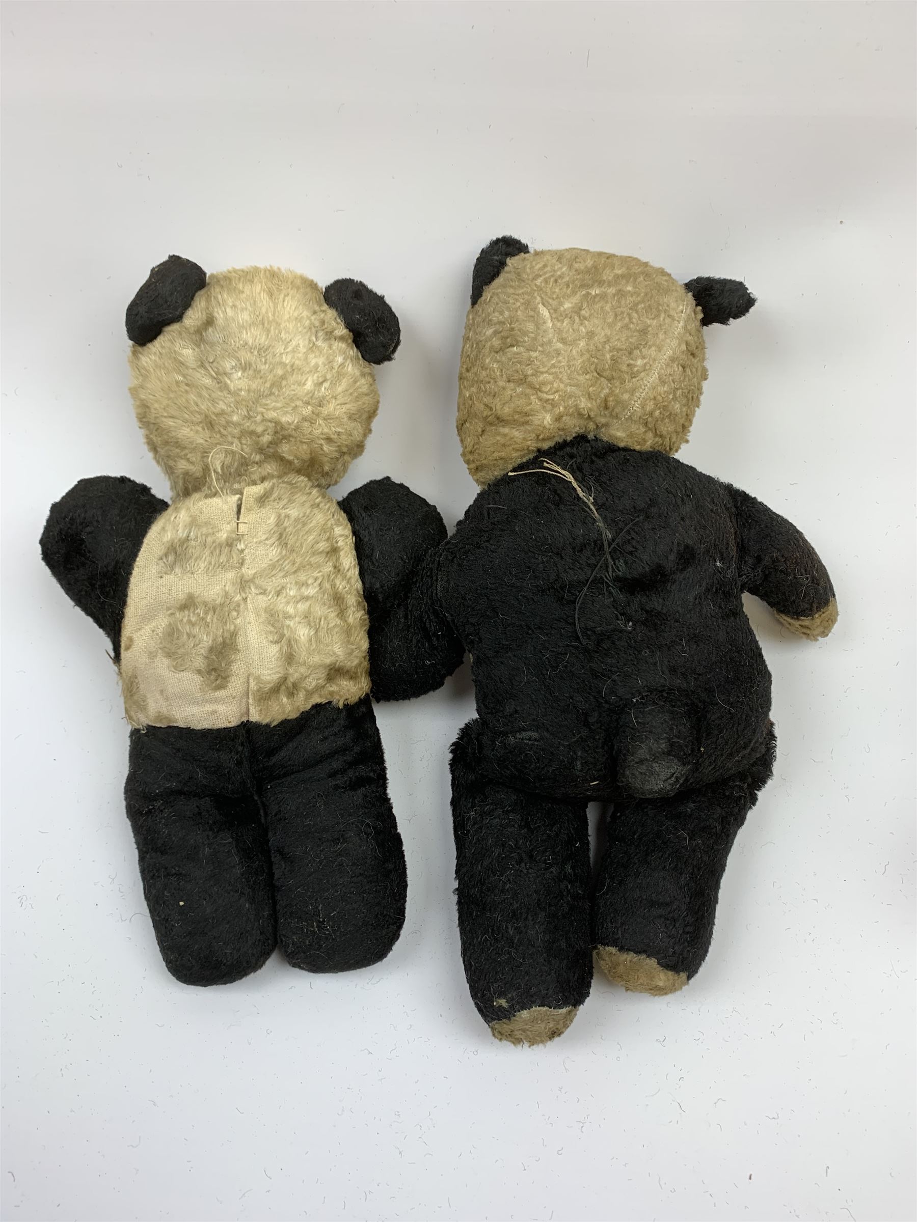 Seven English panda bears c1930s-50s including two Pedigree with plastic dog type noses H11.5