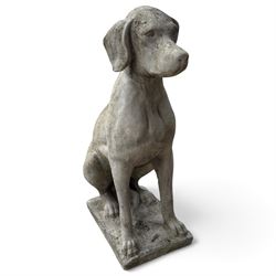 Weathered cast stone garden statue modelled as a seated pointer dog wearing a collar