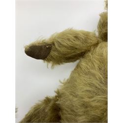 Early 20th century English teddy bear, WW1 period, with wood wool filled mohair body, fixed head with one boot button eye and vertically stitched nose and mouth and jointed limbs with cloth paw pads H16