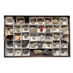19th century box holding a collection of British Fossils, with makers label to the lid 'Collection of British Fossils to illustrate the textbooks and manuals of geology by Lyell, Page, Green & C, Arranged stratigraphically by James R. Gregory & Co mineralogisits .....', all samples numbered with and scribed name labels    
