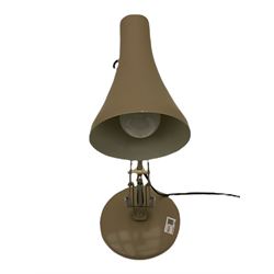 Angle-poise lamp and an Islamic prayer mat