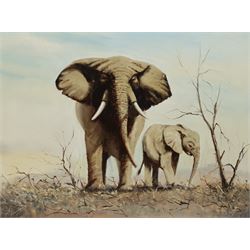 Joe Townend GRA (British 1946-): Elephants on the Savannah, oil on canvas signed 45cm x 60cm (unframed)