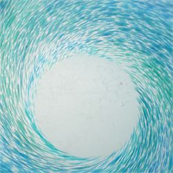 Malcolm Sutcliffe (British 1954-): Studio glass cameo bowl, the body mottled and speckled with shades of blue decorated with dolphins, etched signature, D10cm