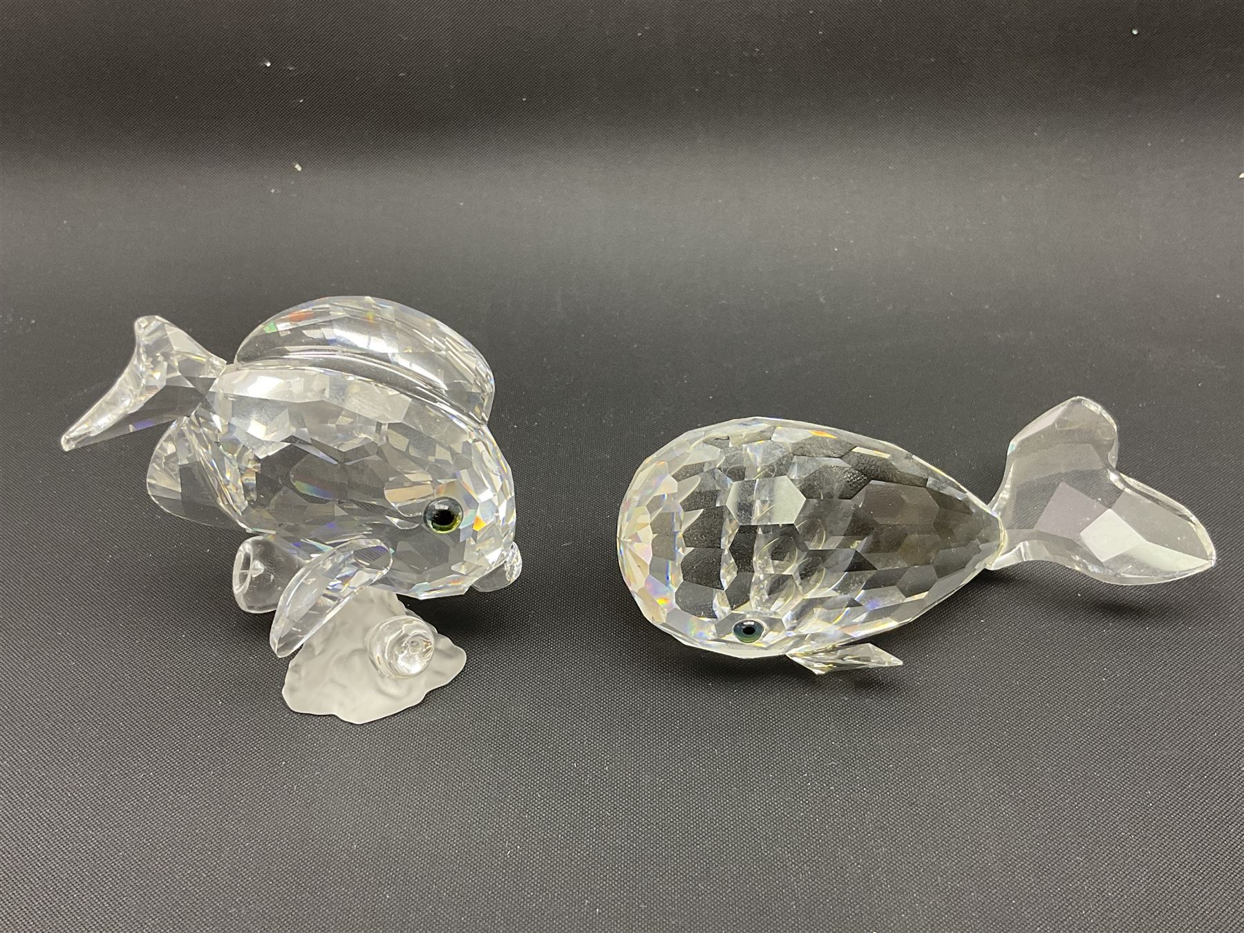 Nineteen Swarovski Crystal sea creatures, to include dolphins, seals, puffer fish, octopus, crabs, together with a quantity Swarovski Crystal shells 