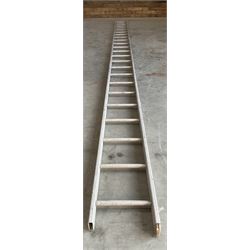 Ramsay 24 rung 2.4m single ladder