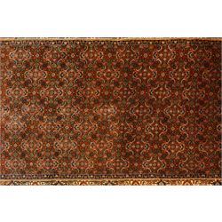 North West Persian Bidjar hand-knotted runner, terracotta field with a repeating mahi design of stylized rosettes and angular floral motifs within a lattice incorporating navy and ivory highlights, ivory principal border with a continuous angular vine of palmettes and serrated leaves, flanked b narrow guard brdoers, with cotton fringe ends 