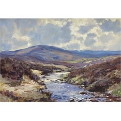Barry Arthur Peckham (British 1945-): Highland Stream, oil on board signed and dated '94, 29cm x 42cm