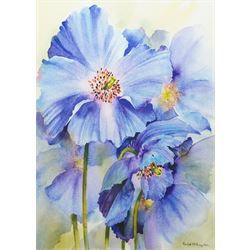 Rachel McNaughton (British Contemporary): Still Life of Purple Flowers, watercolour signed...