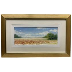 Mike Nance (British Contemporary): Field Landscape, acrylic signed 16cm x 38cm