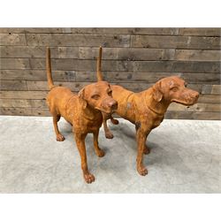 Pair of life-size heavy cast iron garden Hunting dogs