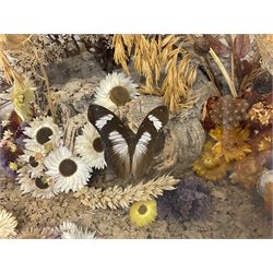 Entomology: 20th century cased moth and butterfly diorama, including Godart morpho, Chrysiridia rhipheus, Cathosia biblis, Appias lyncida, Hamadryas and others arranged amongst dried flowers and grasses, enclosed in a glass five sided terrarium display case with a wooden base, L43cm D43cm H49cm 