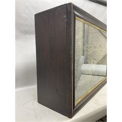 Taxidermy; cased bird diorama, to include Red-neck Pheasants (Phasianus colchicus) adult mounts hen and cock, Common Kestrel (Falco tinnunculus), Common Blackbird (Turdus merula), Starling (Sturnus vulgaris) and others,  in a naturalistic setting, encased within a single pane display case, H66cm, L97cm