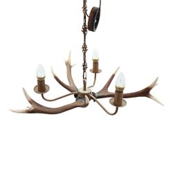 Faux antler chandelier, with three light branches