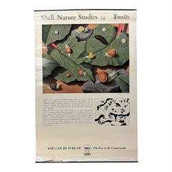 Collection thirty seven vintage county guide posters produced by Shell, H76cm, W51cm