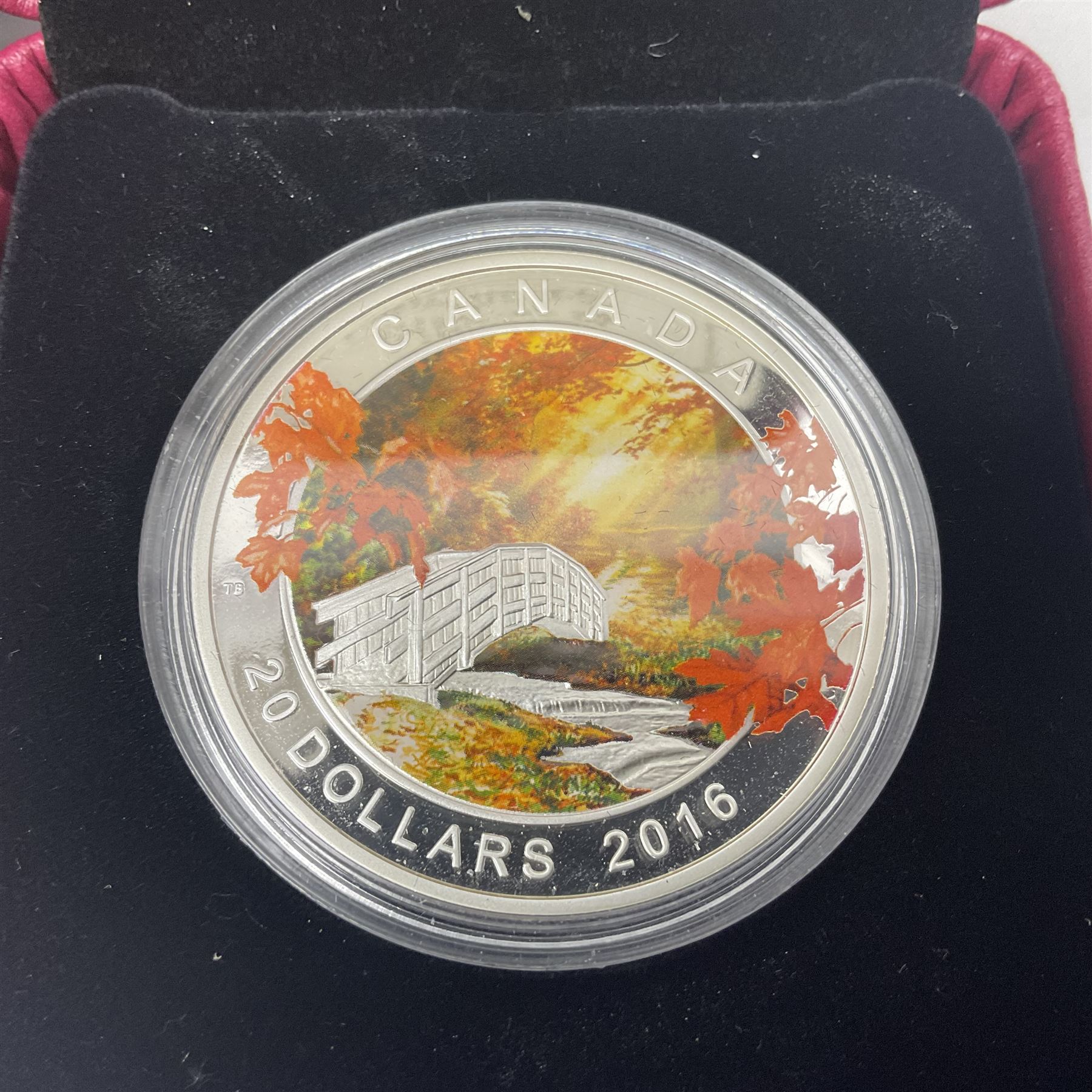Eleven Royal Canadian Mint fine silver twenty dollar coins, including 2016 'A Royal Tour', 2017 'A Platinum Celebration', 2018 'A Nation's Mettle The Dieppe Raid', 2019 'Give Peace A Chance 50th Anniversary' etc, all cased with certificates